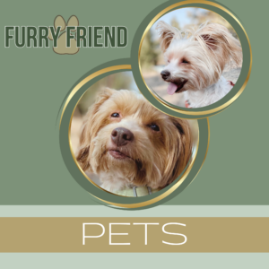 Pets (Furry Friend)